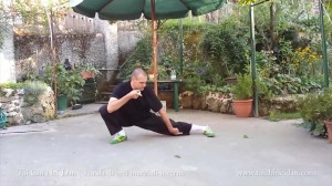 TAIJI QUAN – XIN YI QUAN 2 